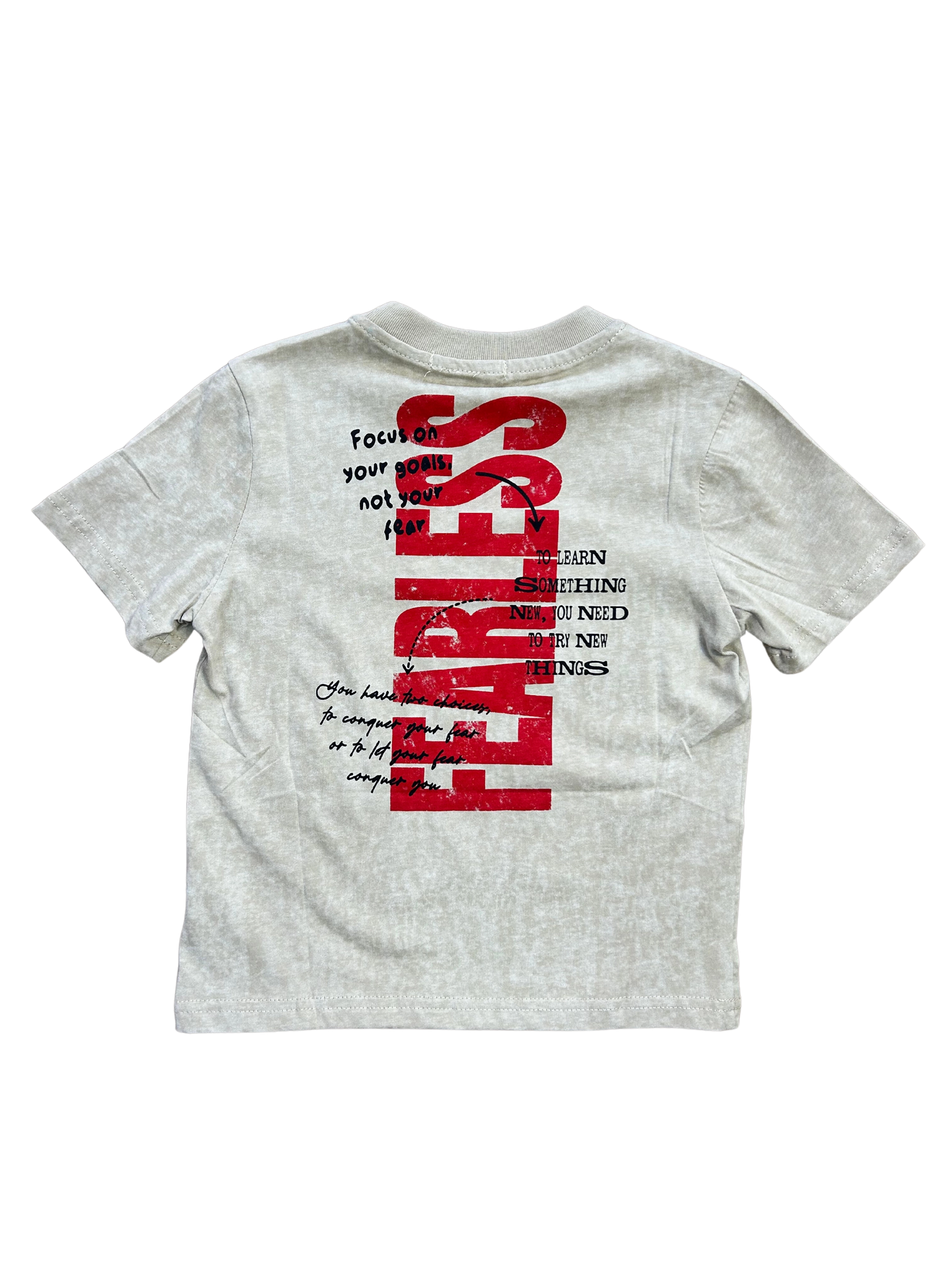 T-shirt fantasia delavata